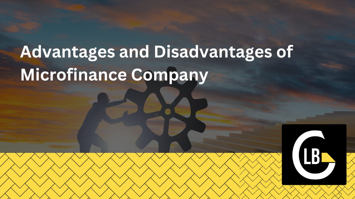 Advantages and Disadvantages of Microfinance Company