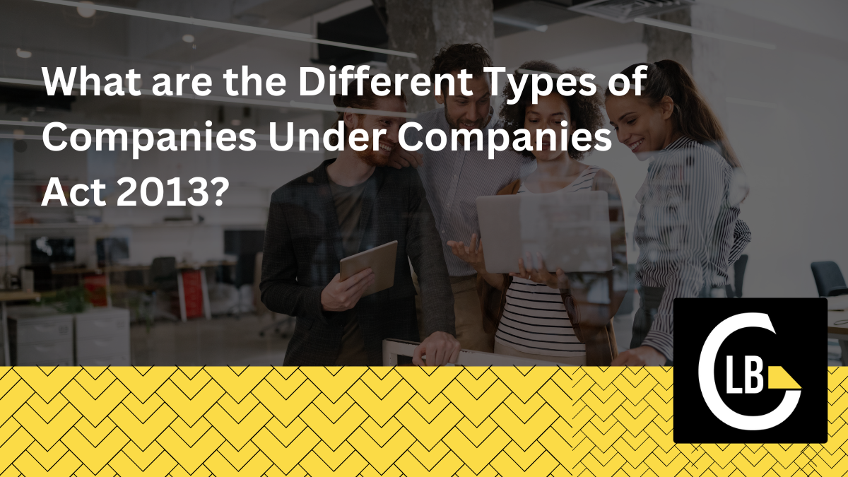 Types of Companies Under Companies Act 2013